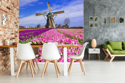 Fototapeta tradycyjna holenderska wieś - wiatraki i tulipany
