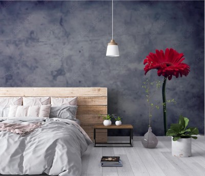 Fototapeta Czerwony kwiat gerbera