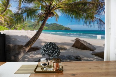 Fototapeta Dzika tropikalna plaża na rajskiej wyspie