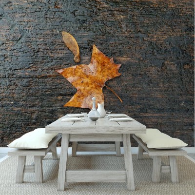 Fototapeta Mokry liść na ławce