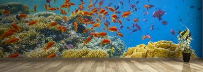 Fototapeta Piękna podmorska panorama wodnego świata