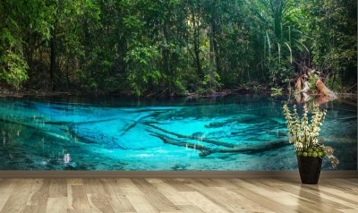 Fototapeta Szmaragdowo niebieski akwen wodny