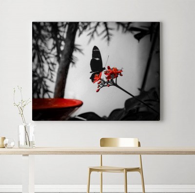 Obraz na płótnie Czarno - czerwona piękność