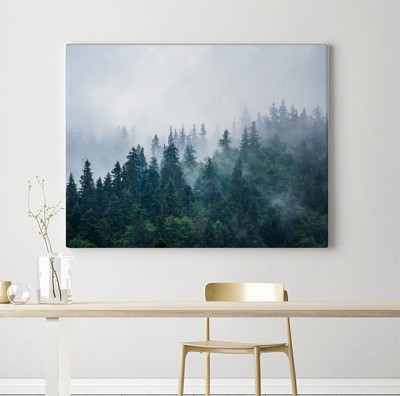 Obraz na płótnie Mgła otaczająca las w górskim krajobrazie