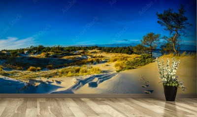 Fototapeta Panorama - pejzaż morski