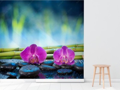 Fototapeta Tło orchidee kamień i bambus w ogródzie