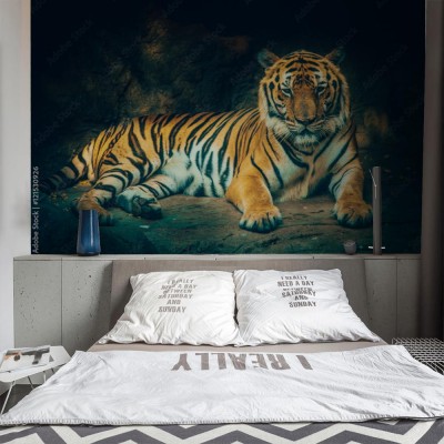 Fototapeta Tygrys z kamiennym górskim tłem