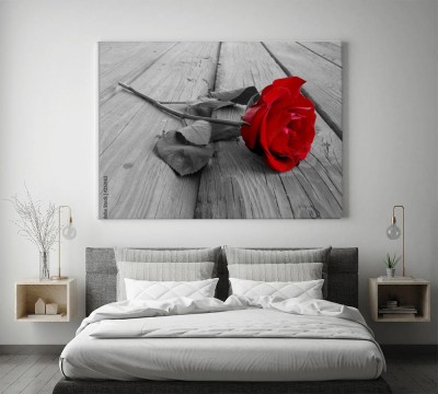 Obraz na płótnie Róża na drewnie - separacja koloru czerwonego