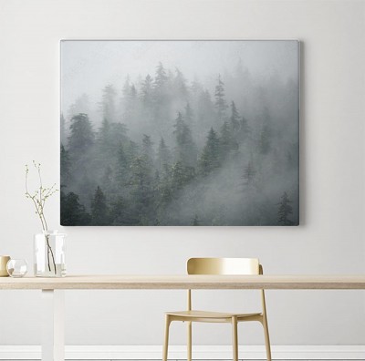 Obraz na płótnie Zamglony las w górach Alaski