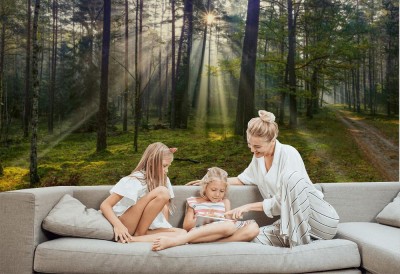 Fototapeta Jesienne mgły w lesie na Warmii