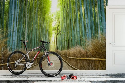 Fototapeta Las bambusowy w Kioto