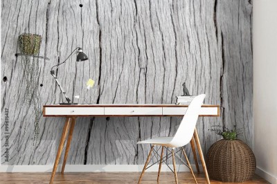 Fototapeta Stary pień drzewa