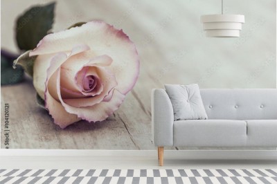 Fototapeta Vintage Rose
