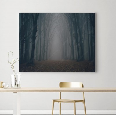Obrazy do salonu Mroczna leśna ścieżka we mgle