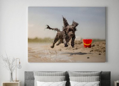 Obraz na płótnie Pies biegnący na plaży