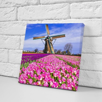 tradycyjna-holenderska-wies-wiatraki-i-tulipany