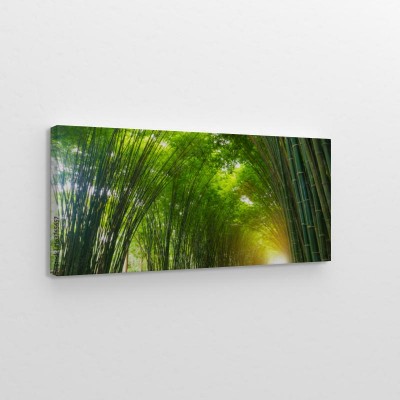 tunelowy-bambusowy-drzewo-z-swiatlem-slonecznym