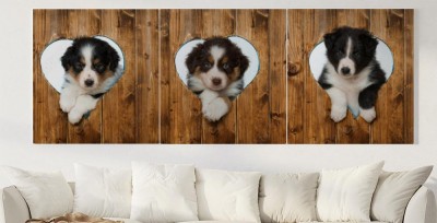 Obraz na płótnie Trzy szczenięta