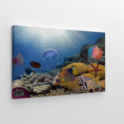 kolorowej-rafy-podwodny-krajobraz-z-rybami