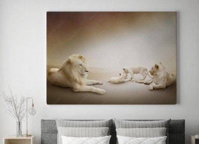 Obraz na płótnie Rodzina białego lwa