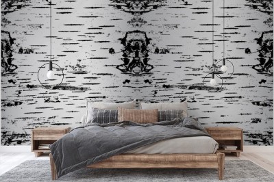 Fototapeta ze strukturą kory Brzozy