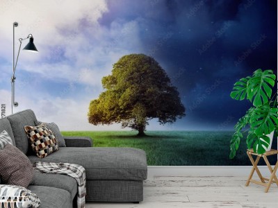 Fototapeta Dzień i Noc w scenie z drzewem 