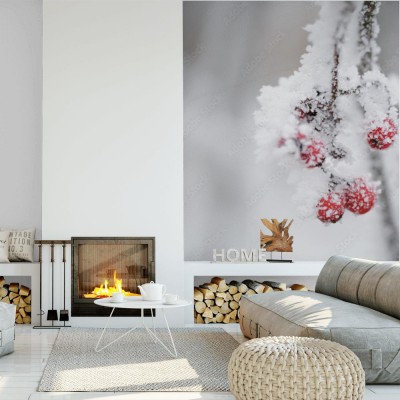 Fototapeta Jarzębiny jagodowe pokryte śniegiem