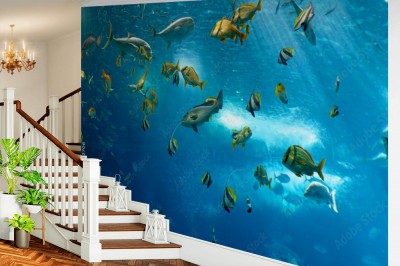 Fototapeta Kolorowe rybki