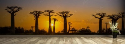 Fototapeta Panoramiczny widok na zachód słońca nad aleją Baobabów