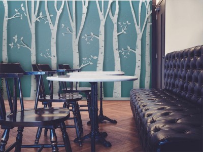 Fototapeta z motywem brzozy