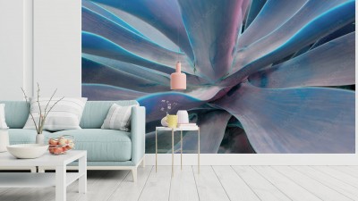 Fototapeta Abstrakcja modernistyczna z kadrem makro rośliny tropikalnej