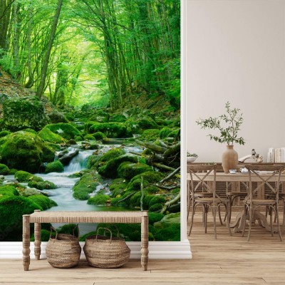 Fototapeta Piękny las