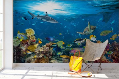 Fototapeta Podwodne widoki na rafę koralową