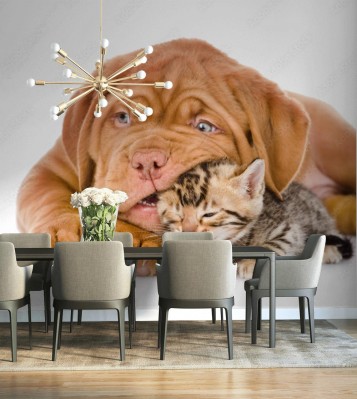 Fototapeta Smak kota