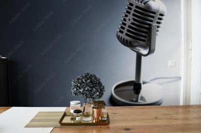 Fototapeta Srebrny mikrofon w stylu vintage