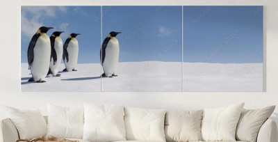 Obraz na płótnie Pingwiny w panoramicznym ujęciu Arktyki