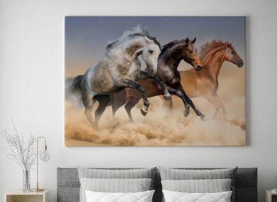 Obraz na płótnie Stado koni biegnie w chmurach pyłu