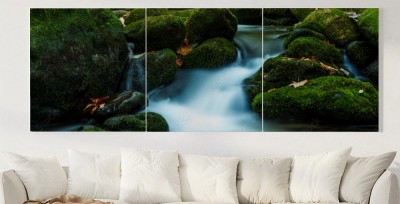 Obraz na płótnie Strumień Smoky Mountain z omszałych skał