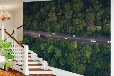 Fototapeta Droga w lesie z perspektywy spadochroniarza