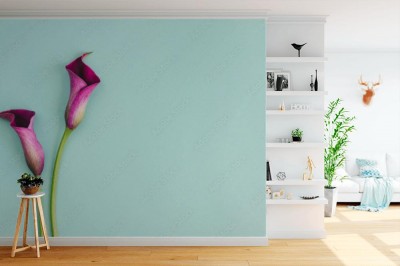 Fototapeta Piękne fioletowe lilie  na turkusowym tle