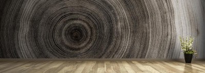 Fototapeta Struktura drewna w przekroju poprzecznym