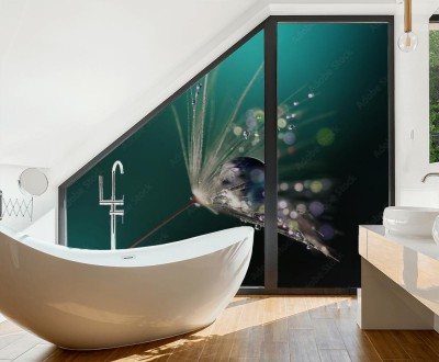 Naklejka na okno łazienkowe Duże złote krople rosy na mniszku