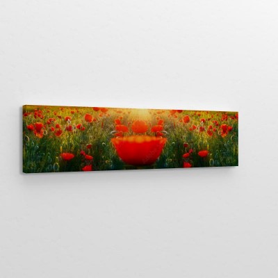 panorama-laki-pelnej-kwiatow-maku