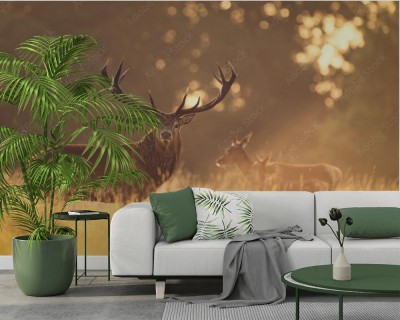 Fototapeta Jeleń w złotym świetle poranka