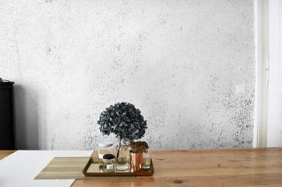 Fototapeta Tekstura linii czarno-białych