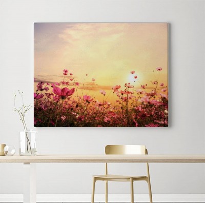 Obrazy do salonu Kwiaty na polnej łące podczas zachodzącego słońca