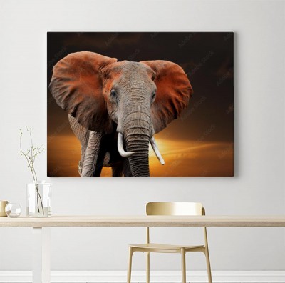 Obraz na płótnie Słoń w promieniach zachodzącego słońca