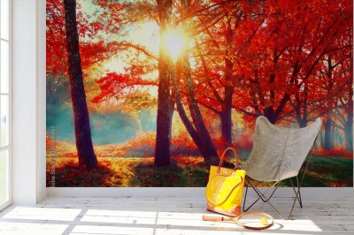 Fototapeta Drzewostan liściasty w scenerii z późnej jesieni