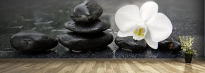 Fototapeta Portret białej orchidei i czarnych kamieni