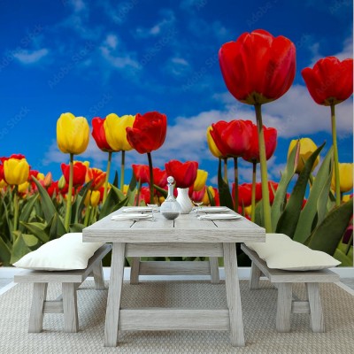 Fototapeta Wiosna w tle kwiatów